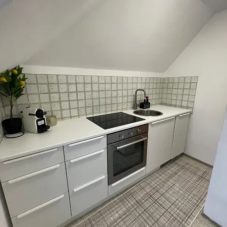 Διαμέρισμα Quiet Center - 10 Min To Center & Oktoberfest - Free Parking - Near Nymphenburg Palace & Botanical Garden *